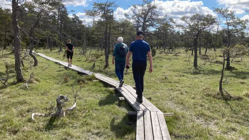 Några människor som går på en spång