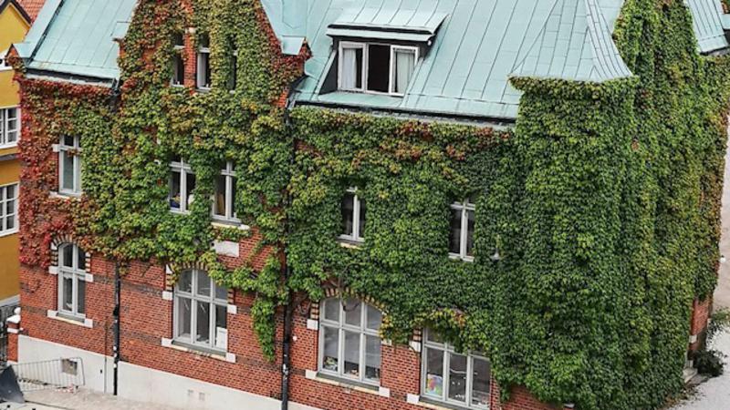 En byggnad täckt av murgröna intill en gata.
