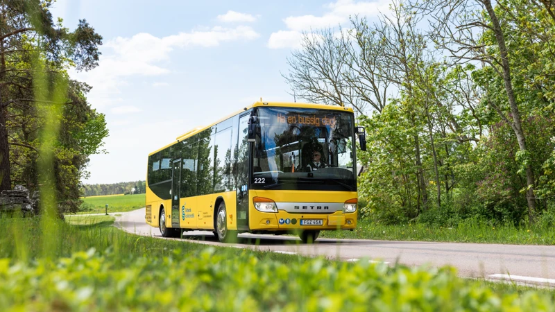 Gul buss på skogsväg