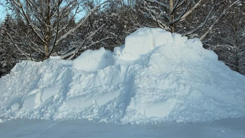 Snöhög.