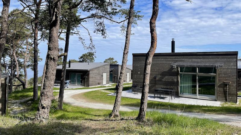 En samling moderna grånade trähus med tallar omkring