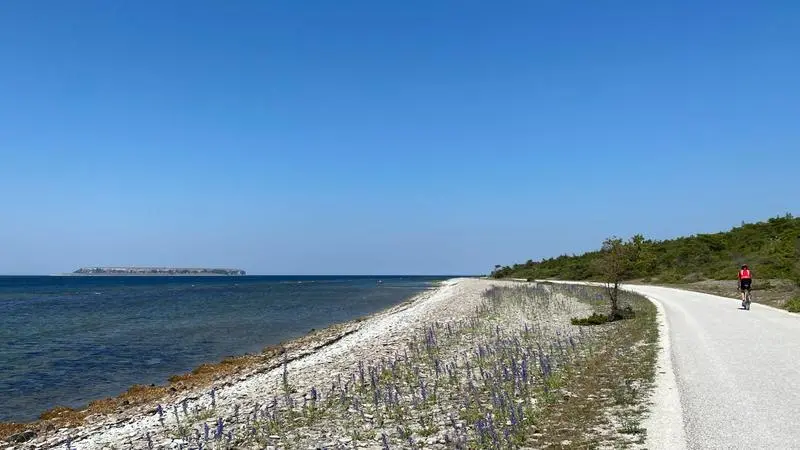 En cyklistpå en väg längs kusten med en ö i fonden