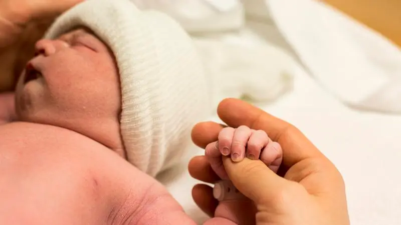 Nyfödd bebis i kontakt med sin förälder 