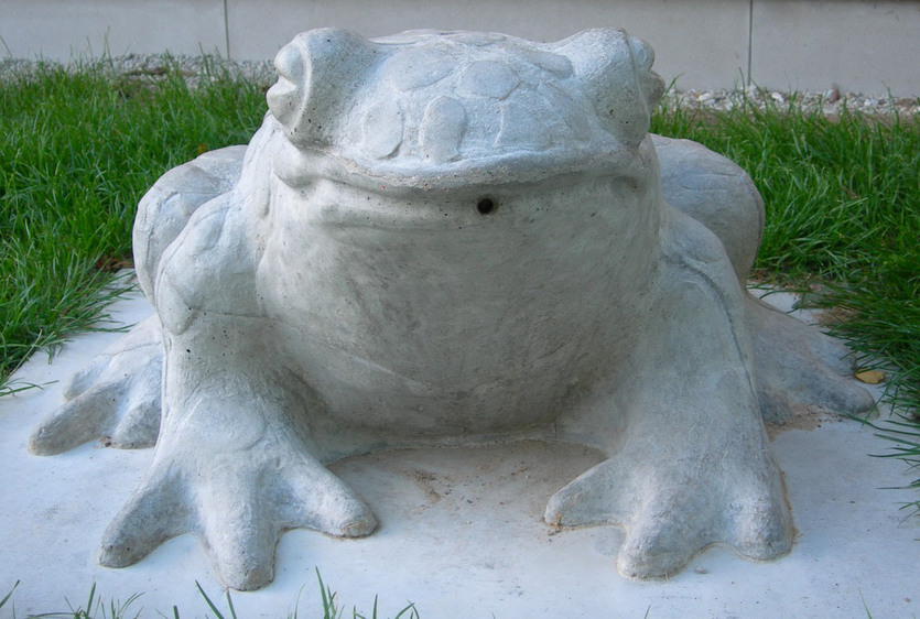 Paddan