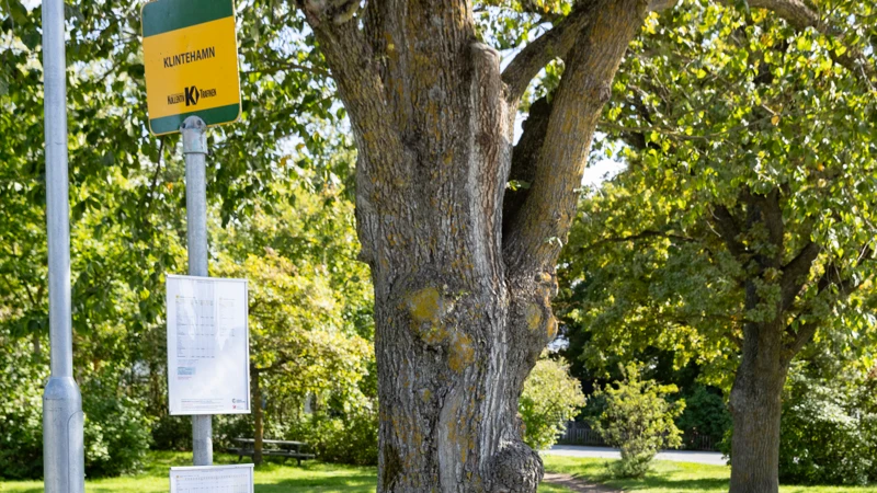Hållplatsskylt