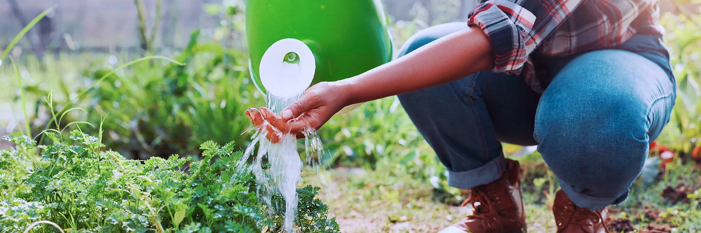 Person spolar av händerna med vattenkanna