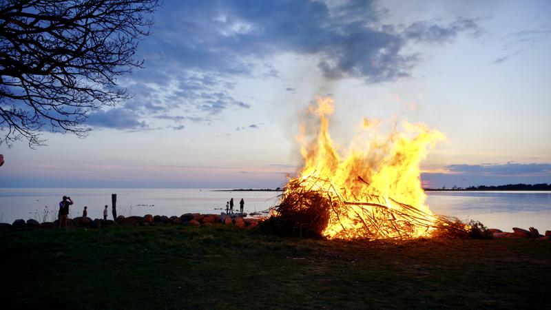 Majbrasa vid strand.