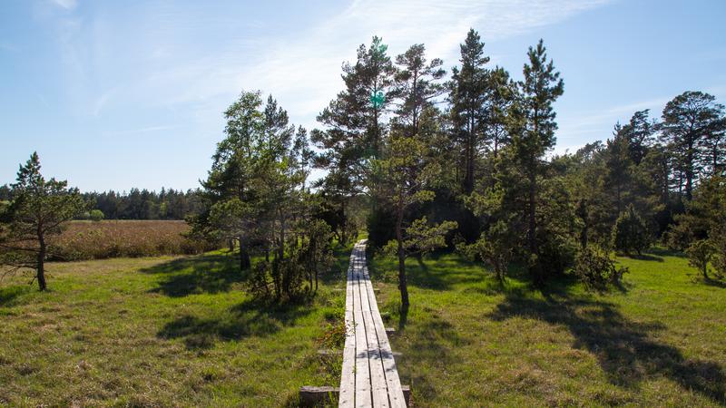 Spång vid Kallgatburg