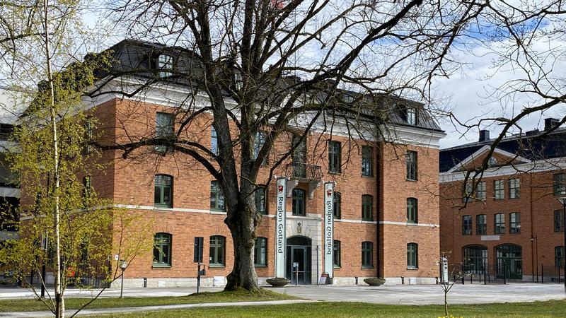 Rådhuset i Visby bakom ett kalt träd.
