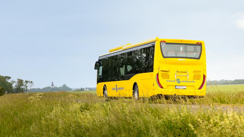 Gul buss på vägen Gotland