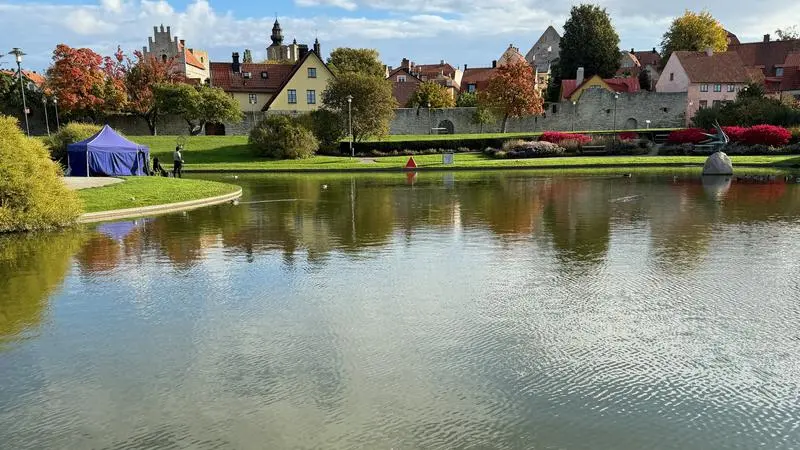 damm, Almedalen, tält, fiske