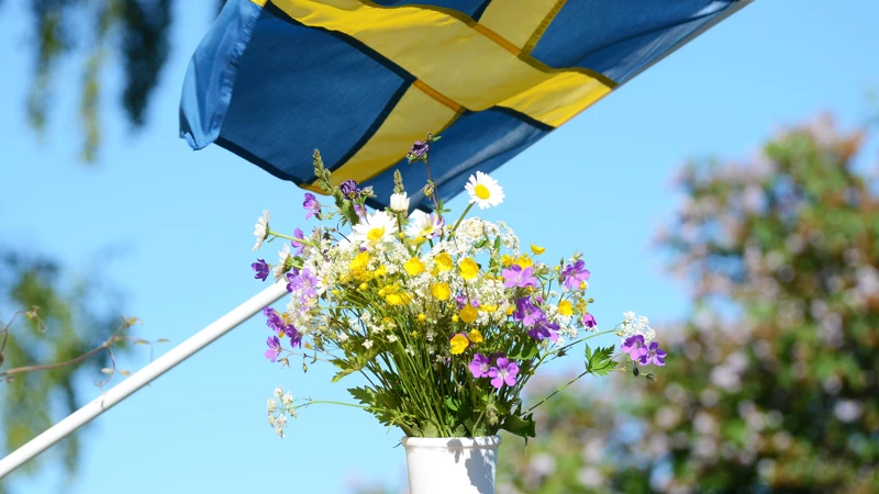 Nationaldagen firas i Almedalen den 6 juni med musik, tal och medborgarskapsceremoni – i år som en del av Sommarkalaset.