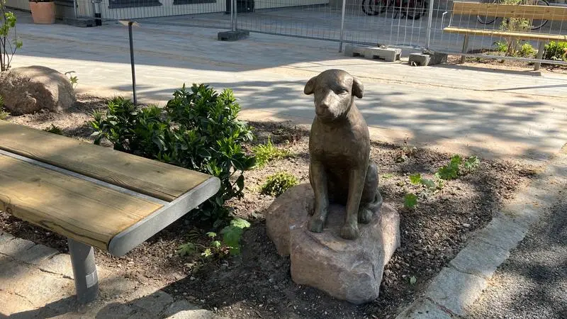 Skulptur i brons föreställande en hund, sitter bredvid en parkbänk i Visby.