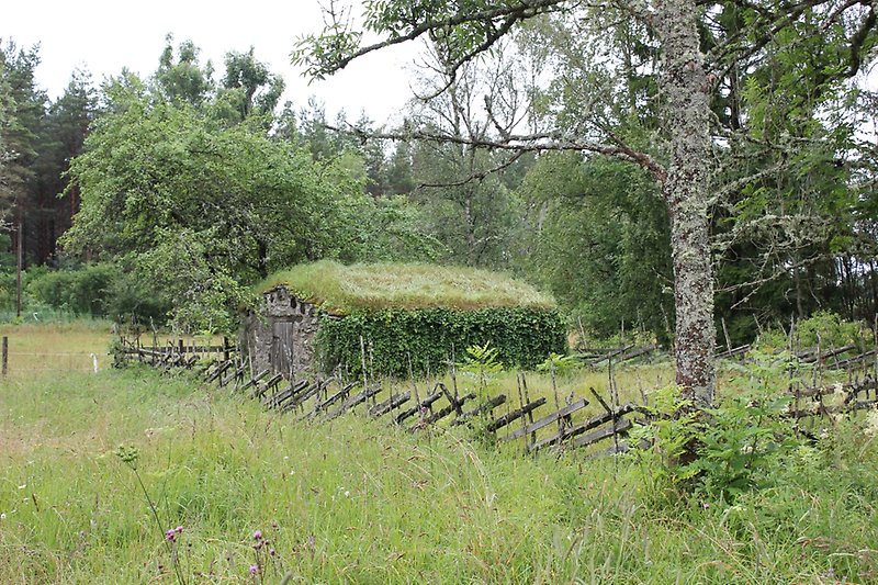 En gammal stenbyggnad som har blivit bevuxen med tiden.