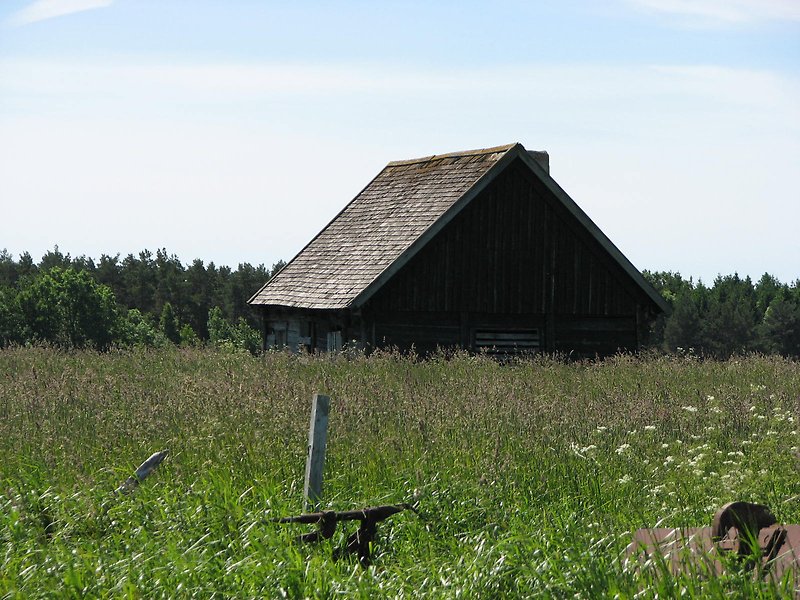 Bakom det höga gräset finns en svart stuga.