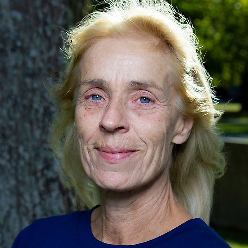 Ylva Hammar